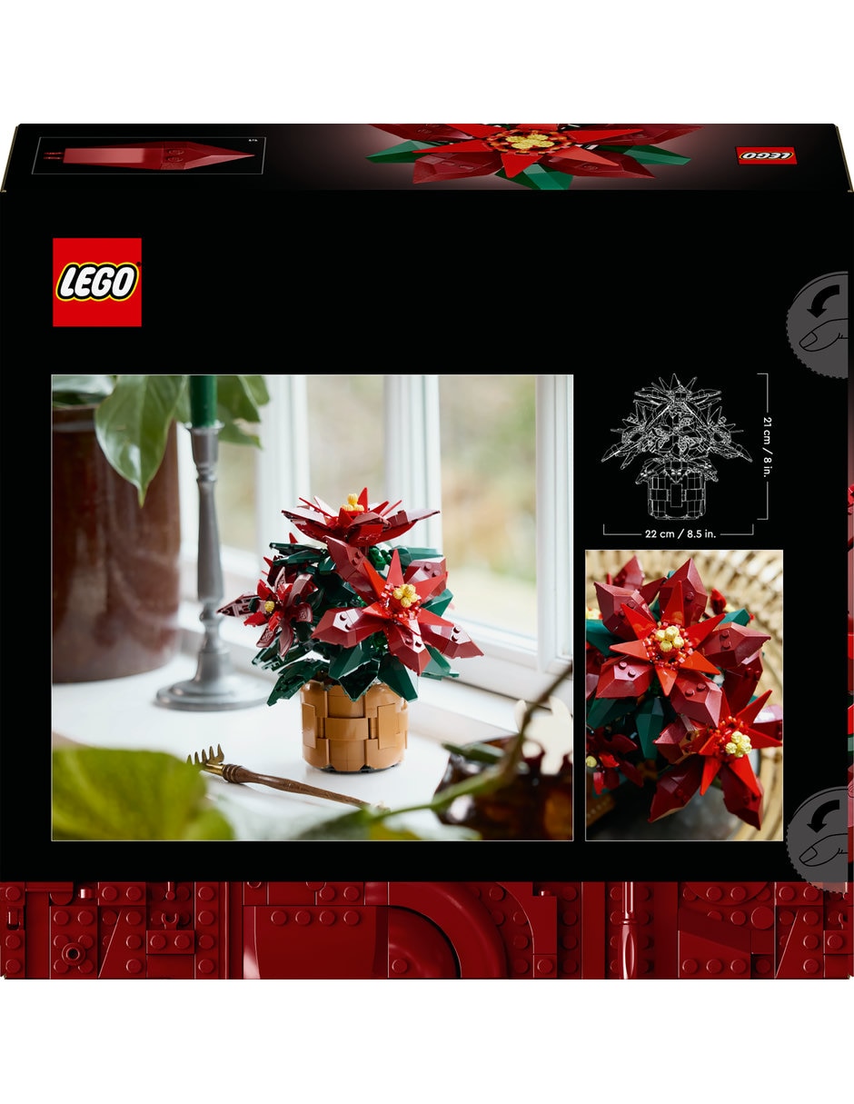 Nochebuena 10370 Botanicals 10
