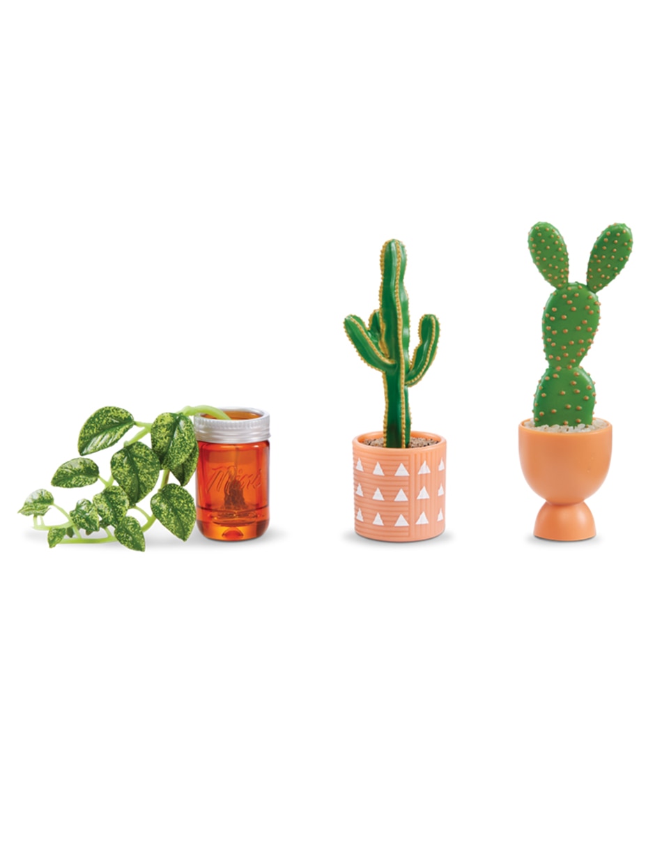 Set minibotanico 2