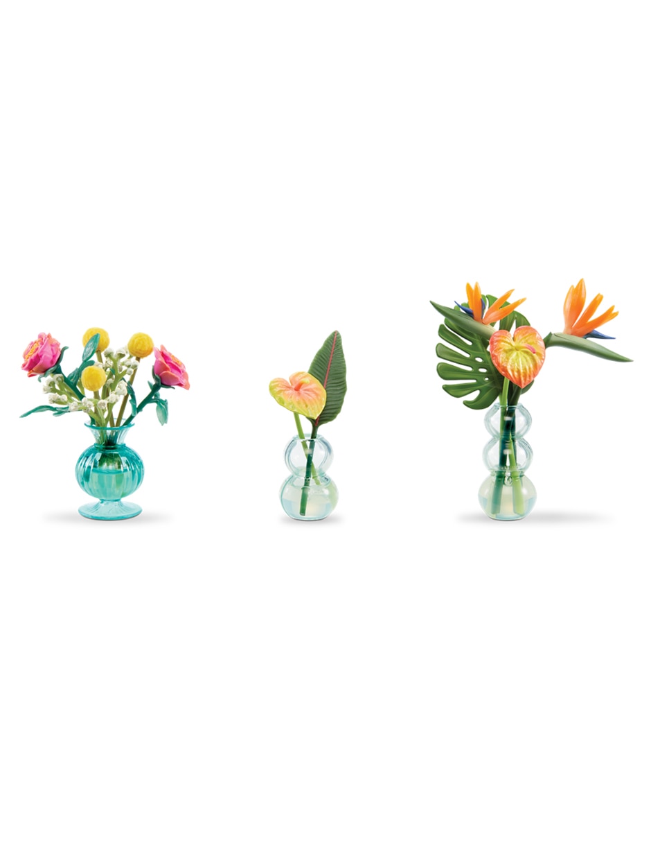 Set minibotanico 3
