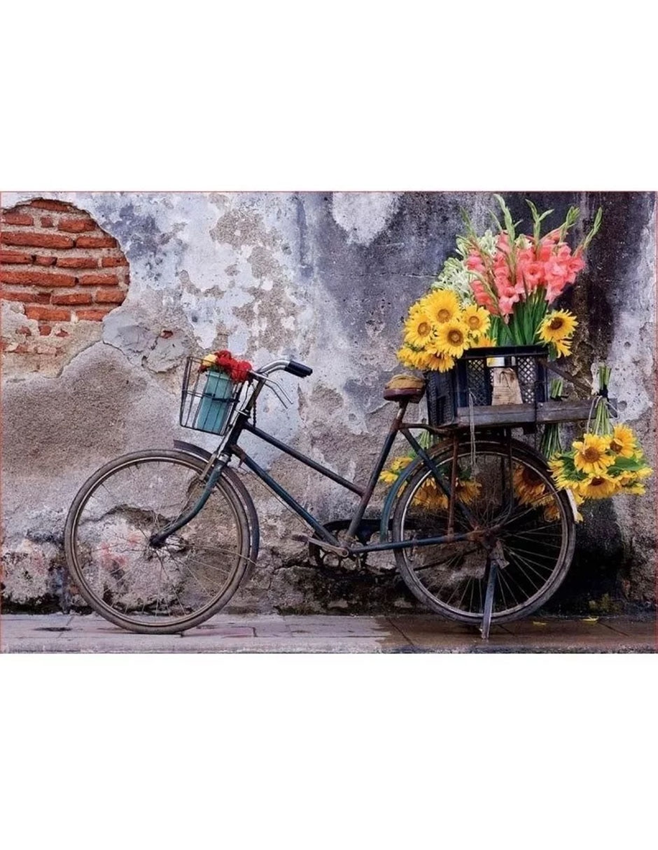 Rompecabezas Bicicleta con flores Educa Puzzle Educa Borras 500