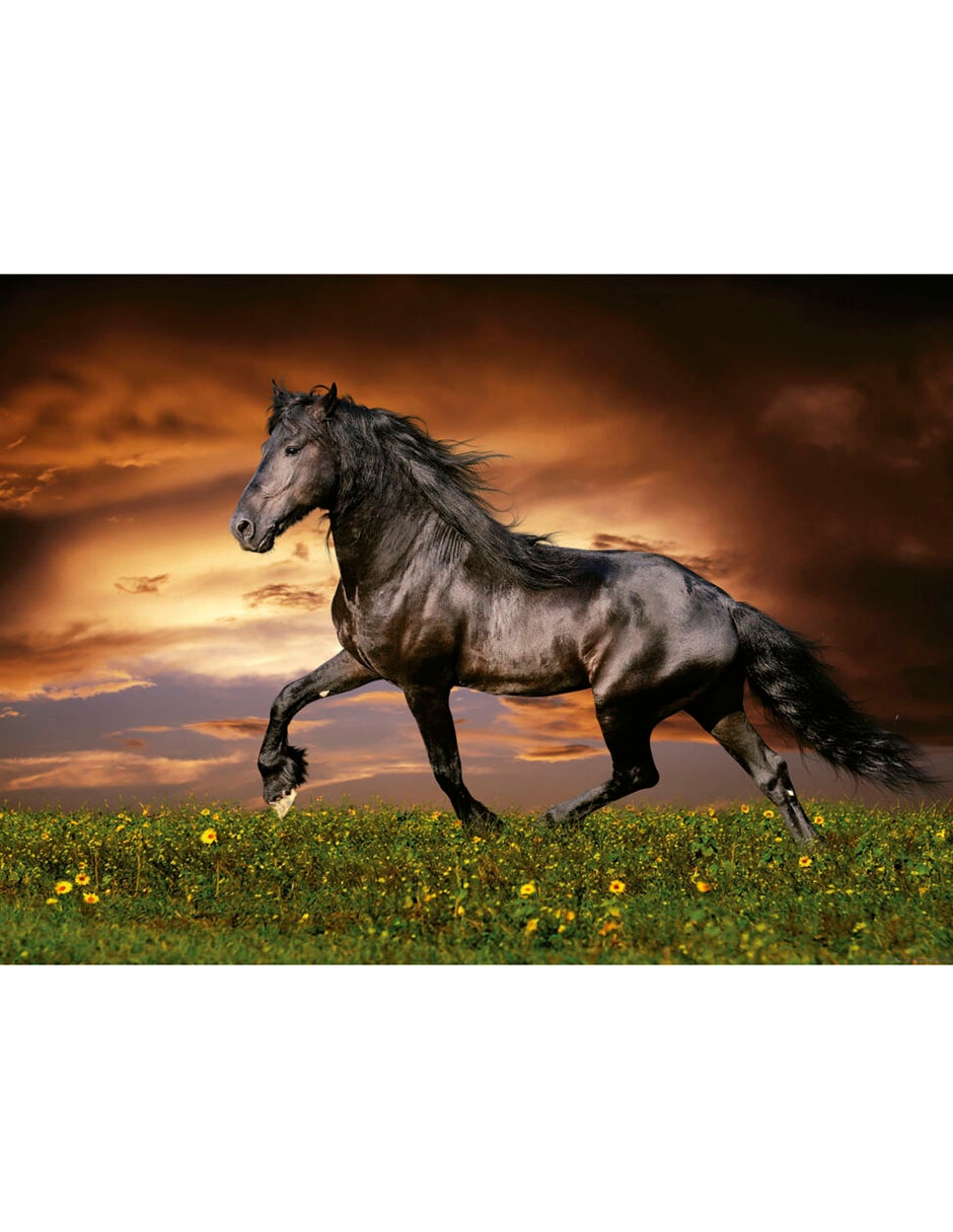 Rompecabezas caballo al trote Educa Puzzle 500 piezas 1