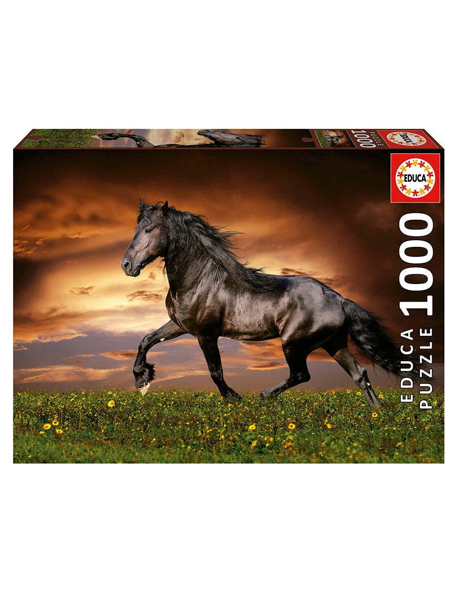 Rompecabezas caballo al trote Educa Puzzle 500 piezas 2