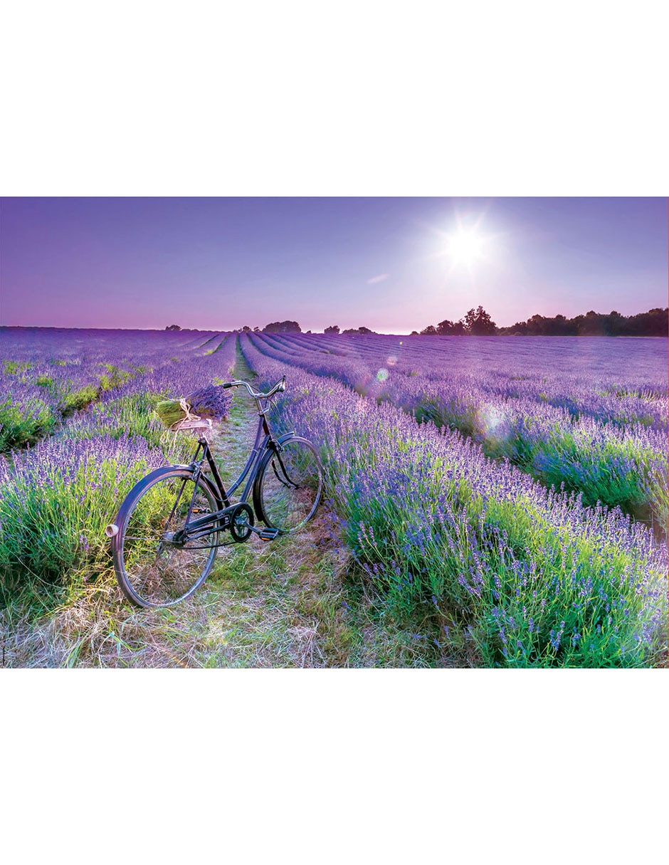 Rompecabezas campo de lavanda Educa Puzzle 500 piezas