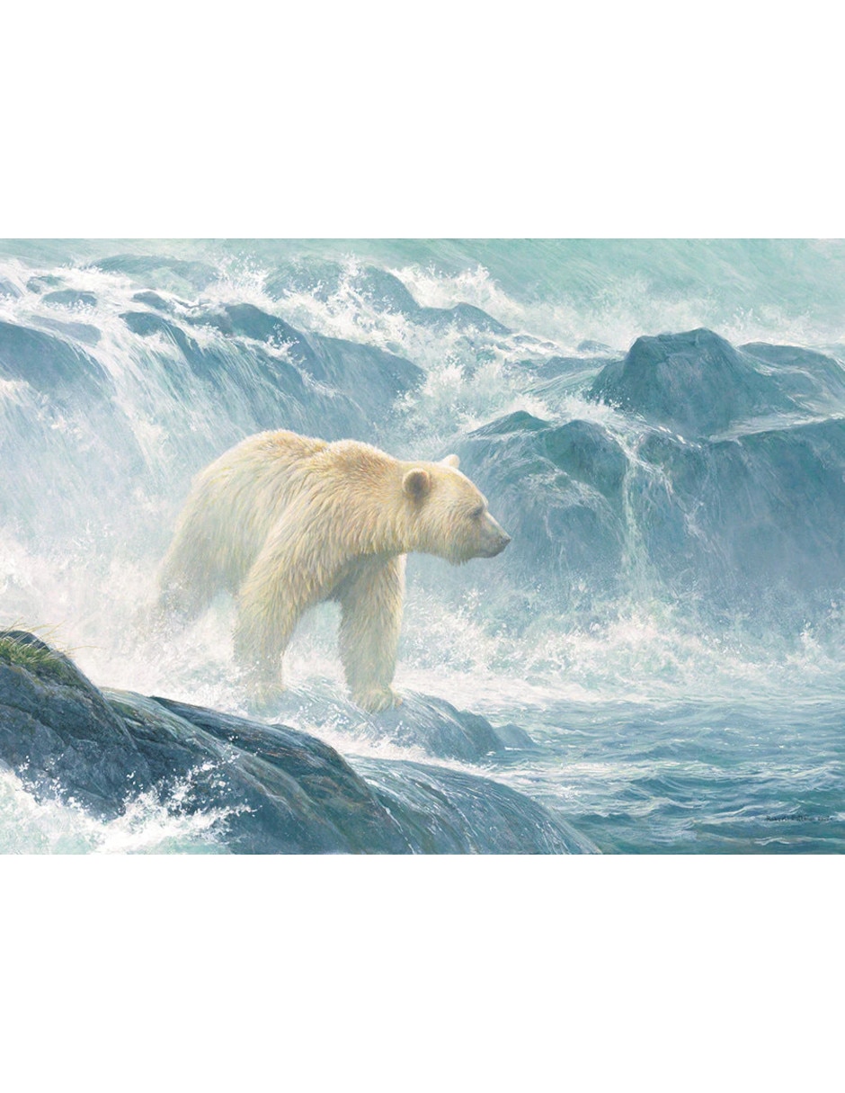 Rompecabezas Animales Oso Polar 500 piezas 2