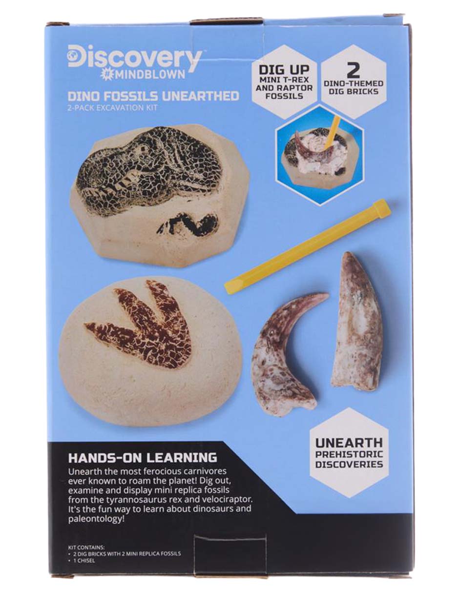 Dino Fossils Unearthed 3