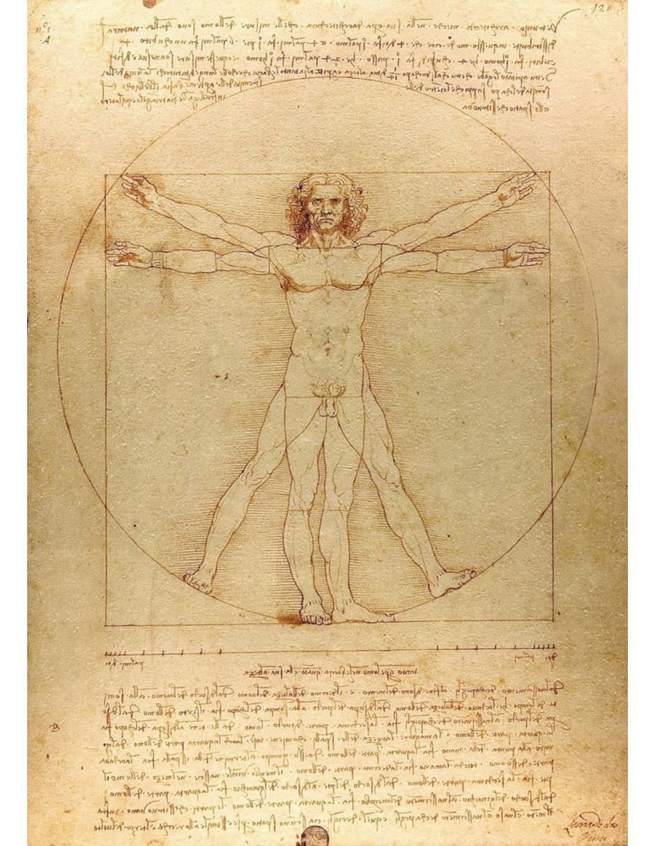 Rompecabezas Leonardo da Vinci - El Hombre de Vitruvio 1000 piezas 2