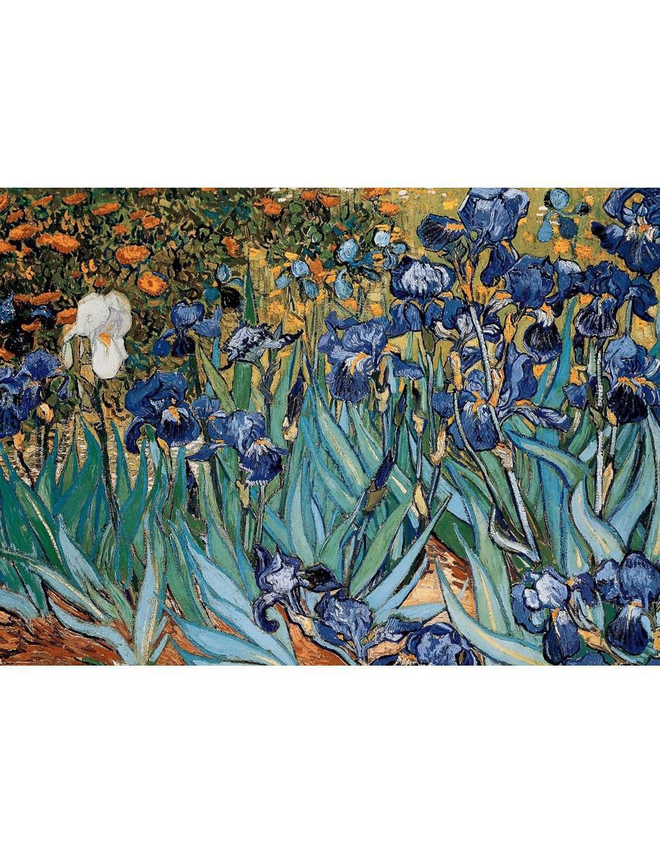 Rompecabezas Vincent van Gogh Flores de Iris 1000 piezas 2