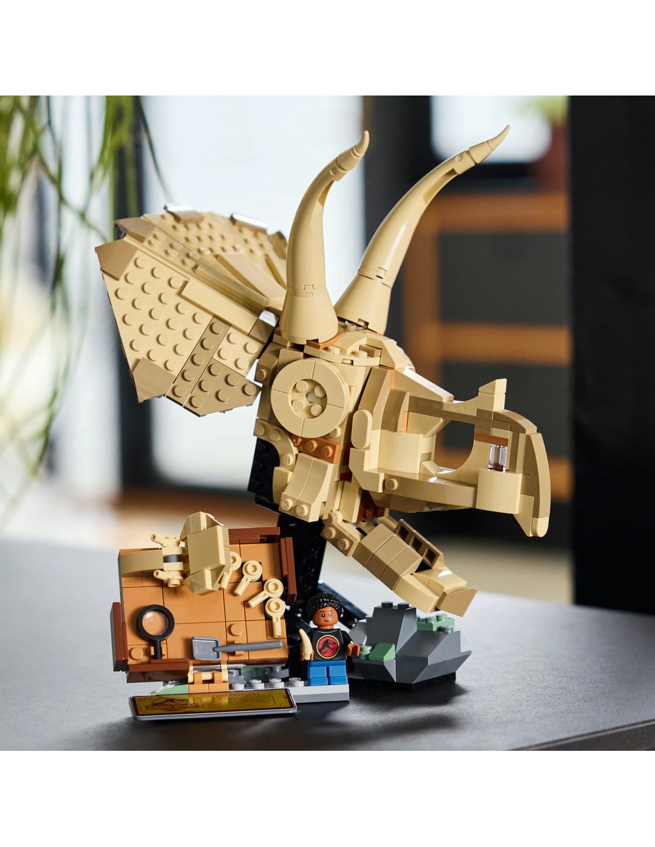 Fósiles de Dinosaurio: Cráneo de Triceratops 76969 2