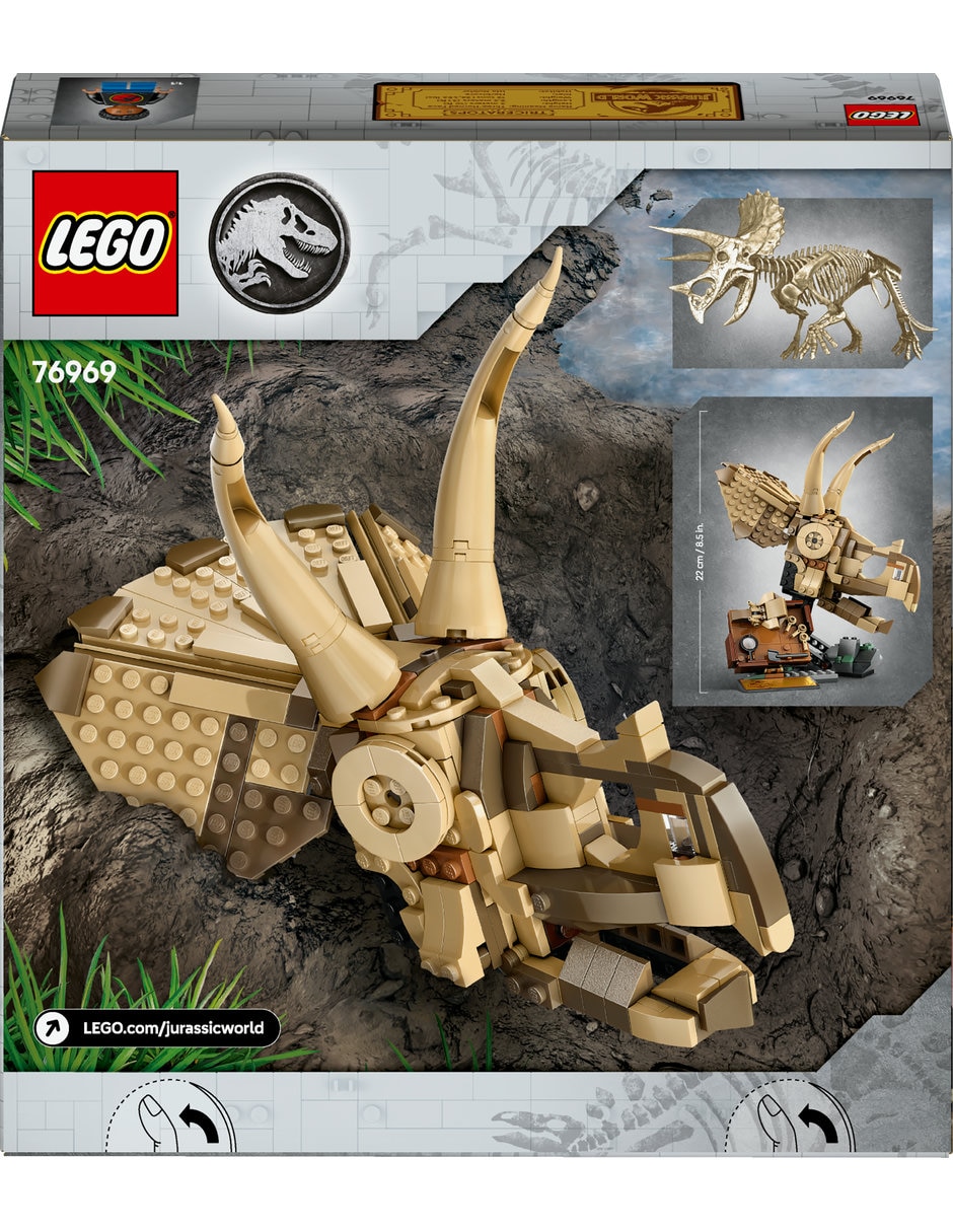 Fósiles de Dinosaurio: Cráneo de Triceratops 76969 3