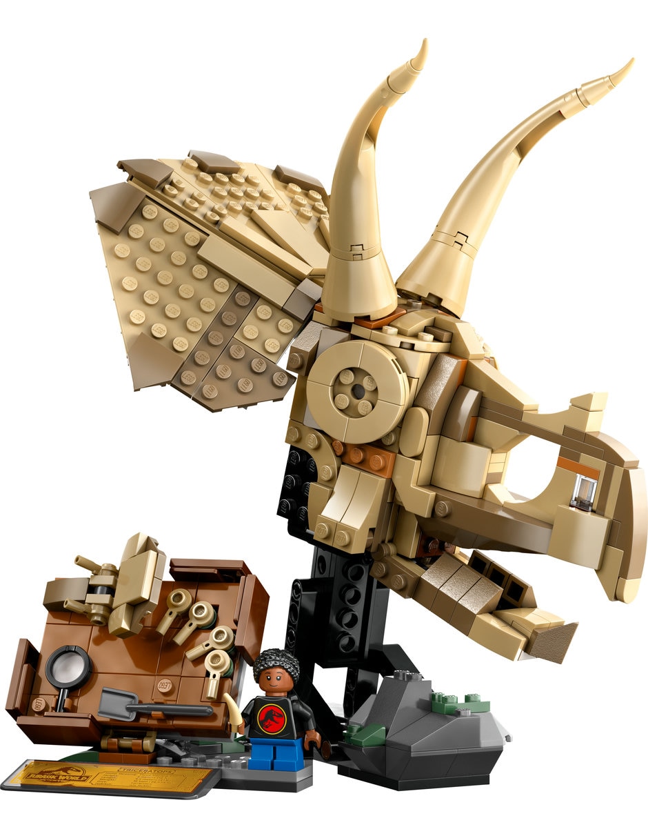 Fósiles de Dinosaurio: Cráneo de Triceratops 76969 5