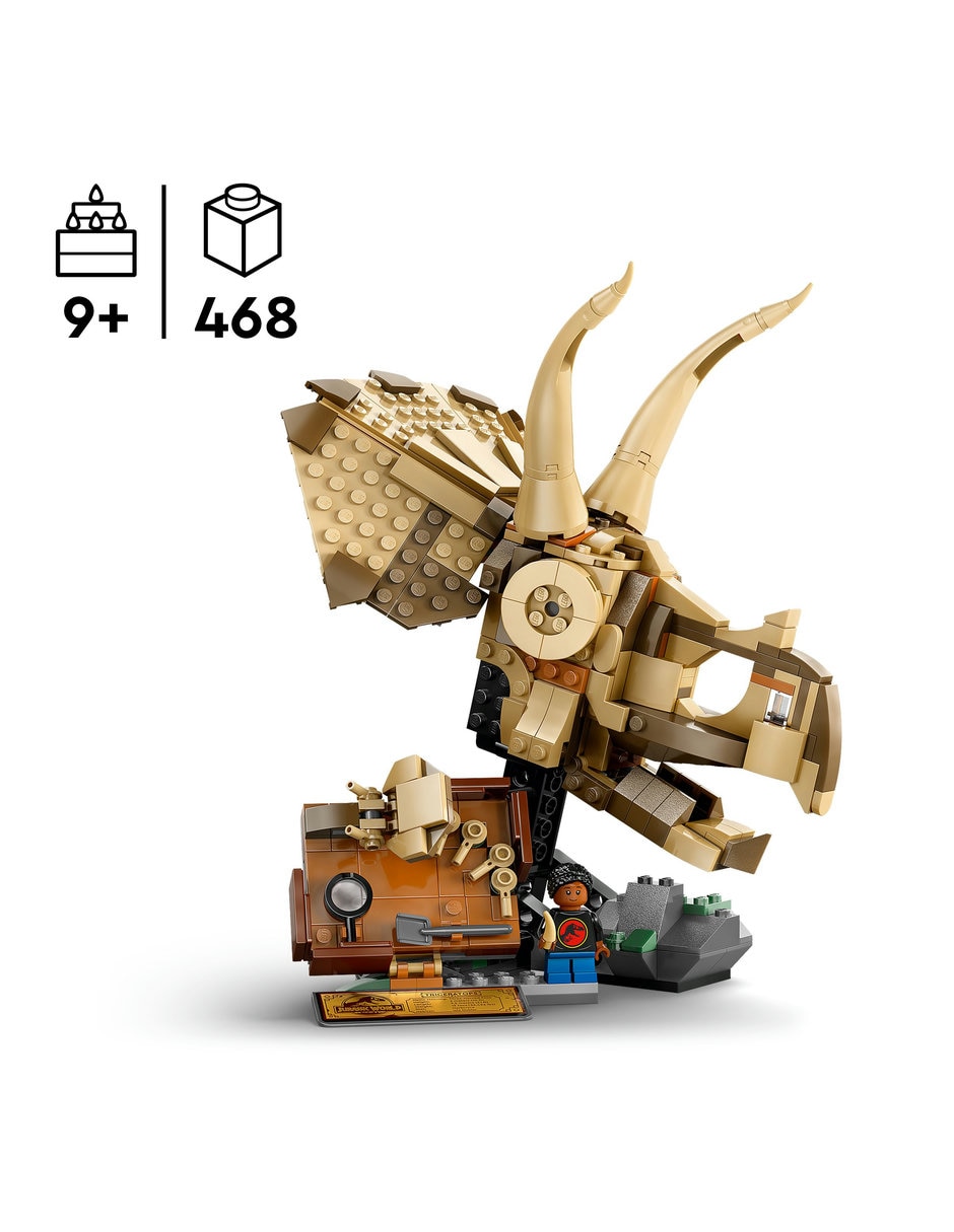 Fósiles de Dinosaurio: Cráneo de Triceratops 76969 7