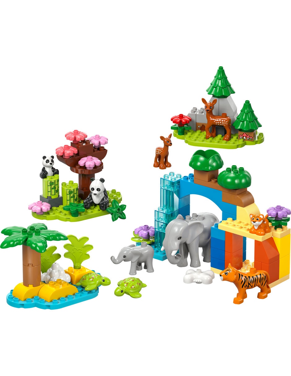 Familias de la Fauna Salvaje 10446 2