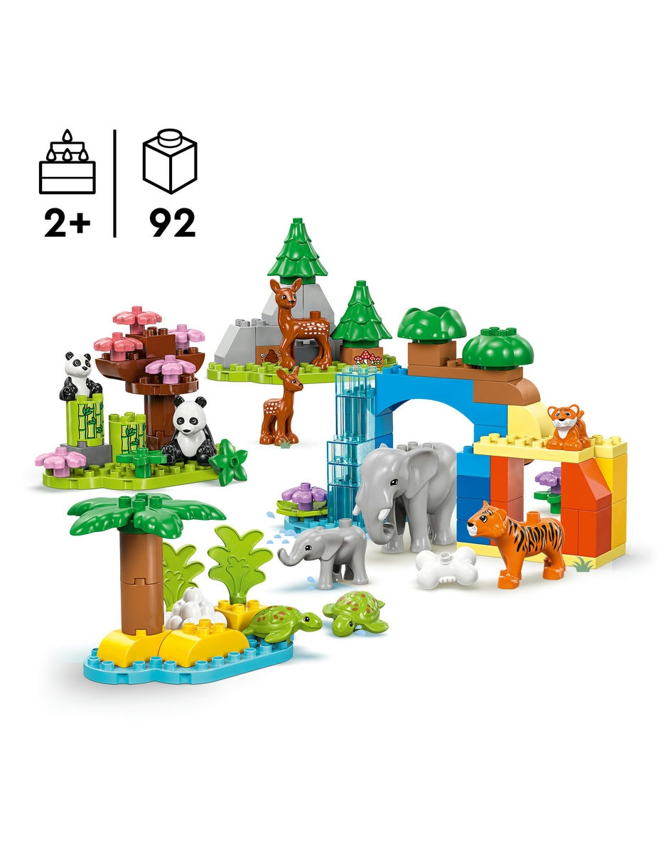 Familias de la Fauna Salvaje 10446 3