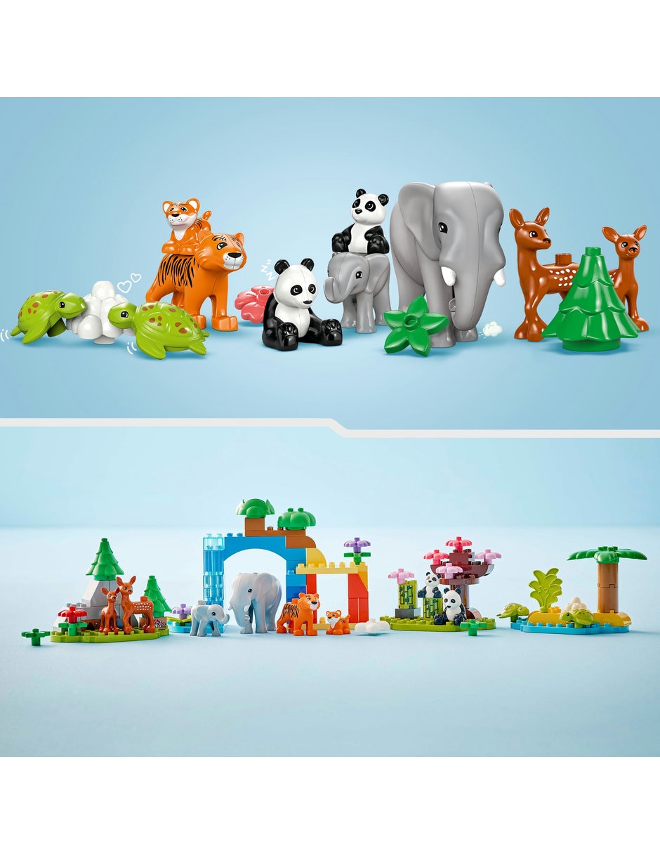 Familias de la Fauna Salvaje 10446 4