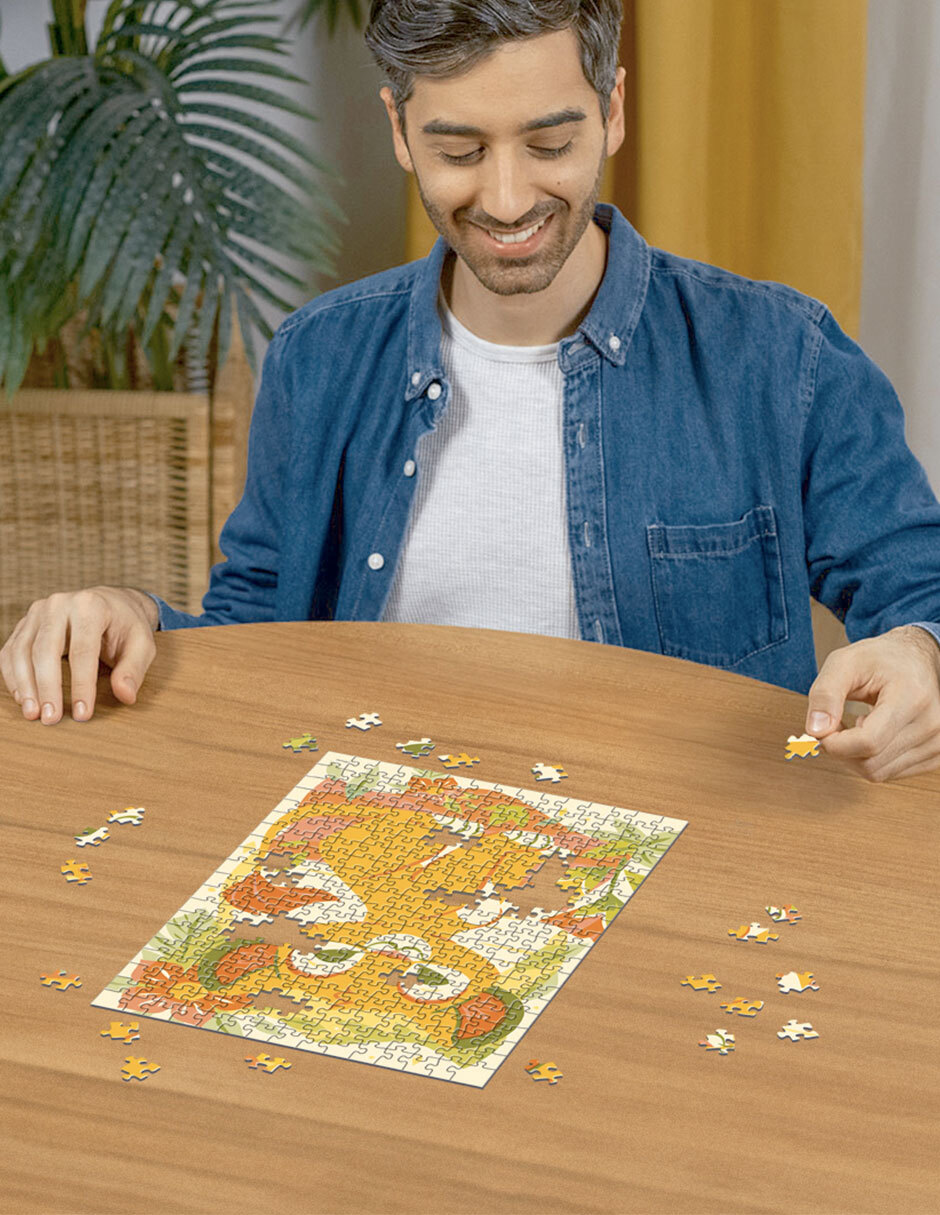 Rompecabezas 300 Piezas 6