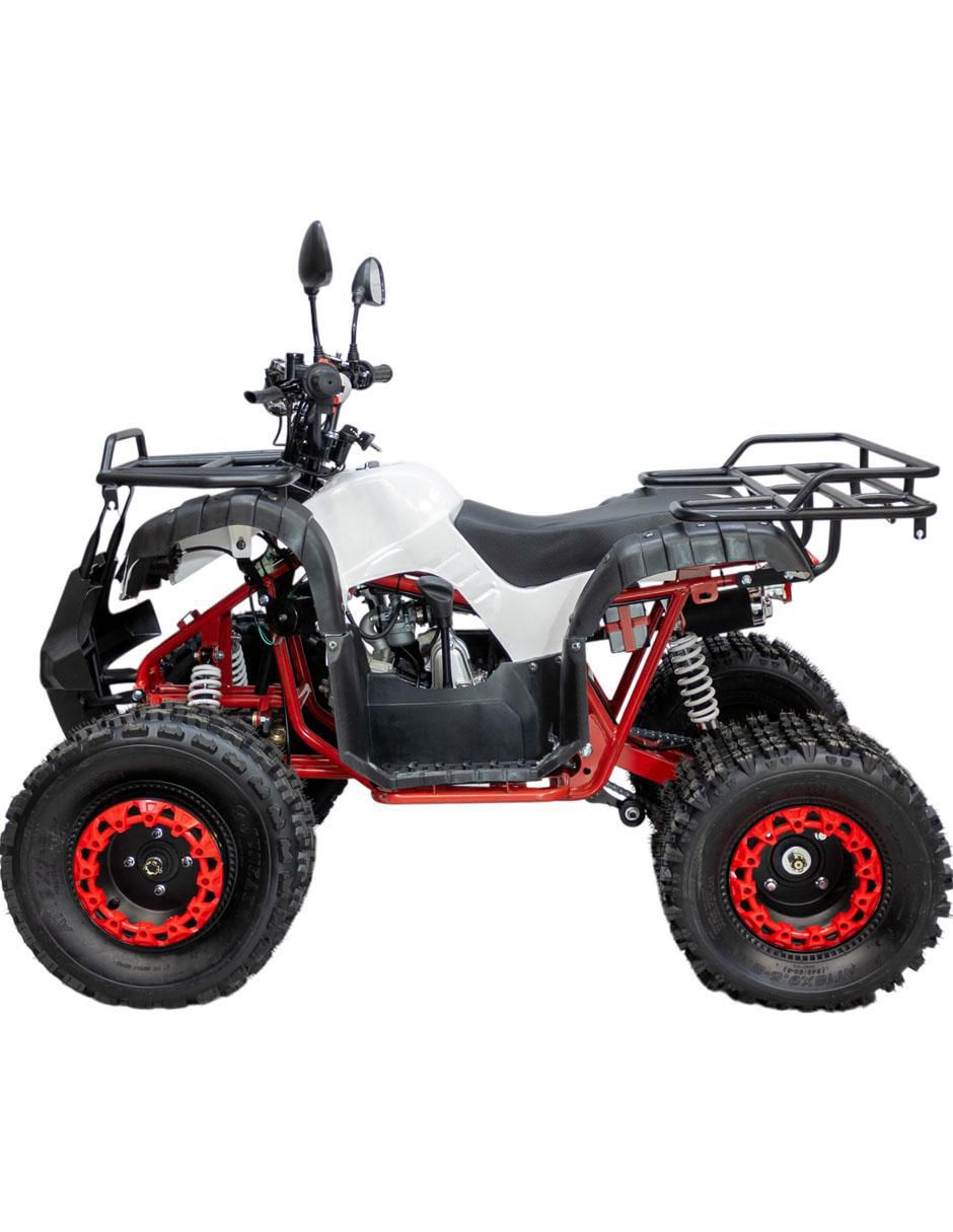 Cuatrimoto montable de combustible 2