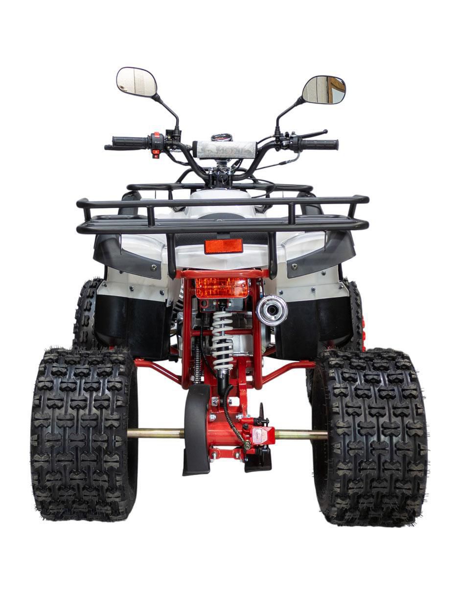 Cuatrimoto montable de combustible 3