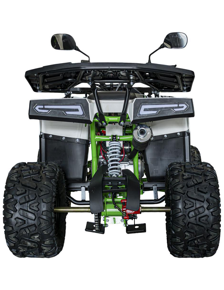 Cuatrimoto montable de combustible 5