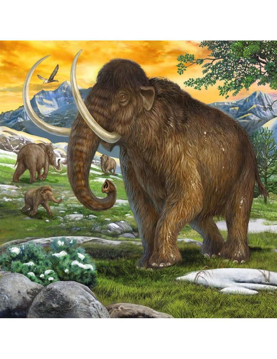 Rompecabezas Animales Prehistóricos 147 piezas 4