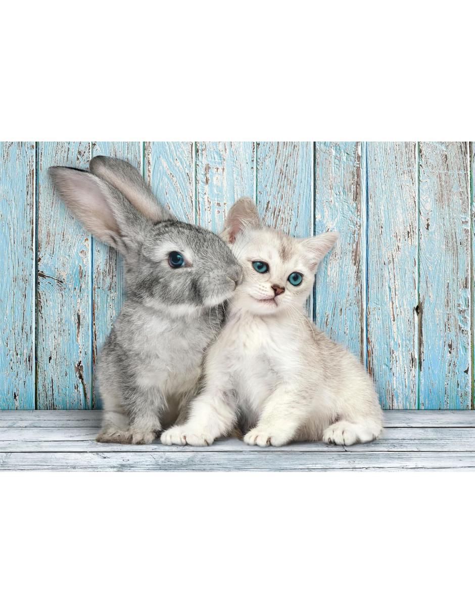 Rompecabezas Animales Gato y Conejito 500 piezas 2