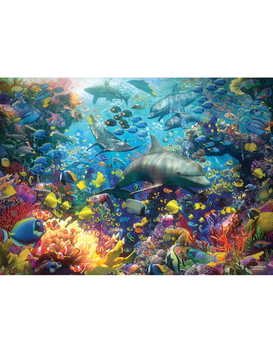 Rompecabezas Animales Debajo Del Agua Mar Vibrante 1000 piezas 2