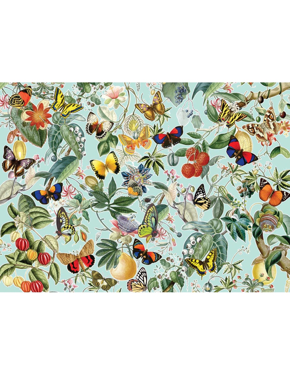 Rompecabezas Mariposa Frutas Y Mariposas 1000 piezas 2