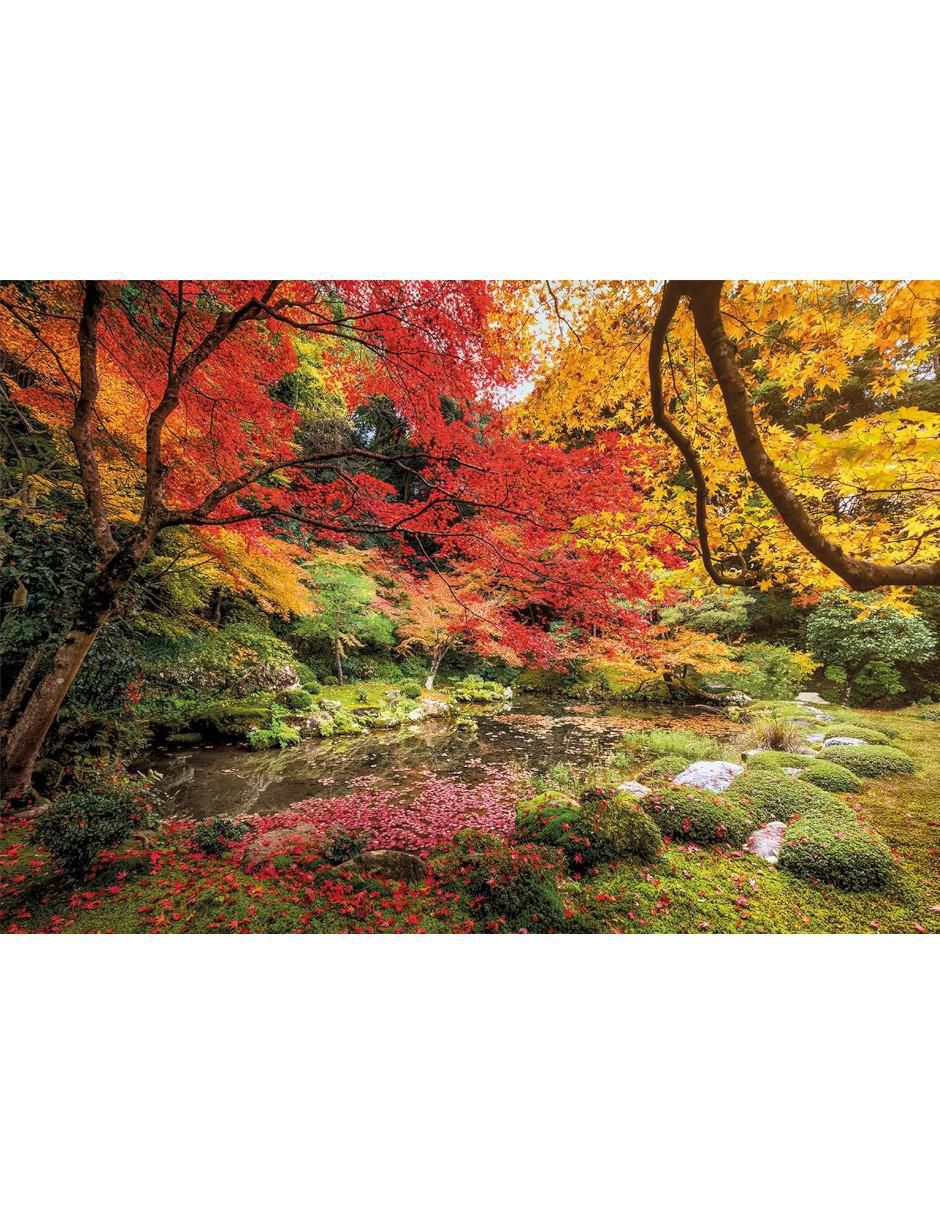 Rompecabezas Parque En Otoño Parque En Otoño 1500 piezas 2