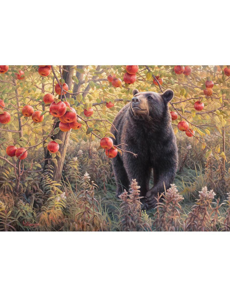 Rompecabezas Animales Oso En El Bosque 500 piezas 2