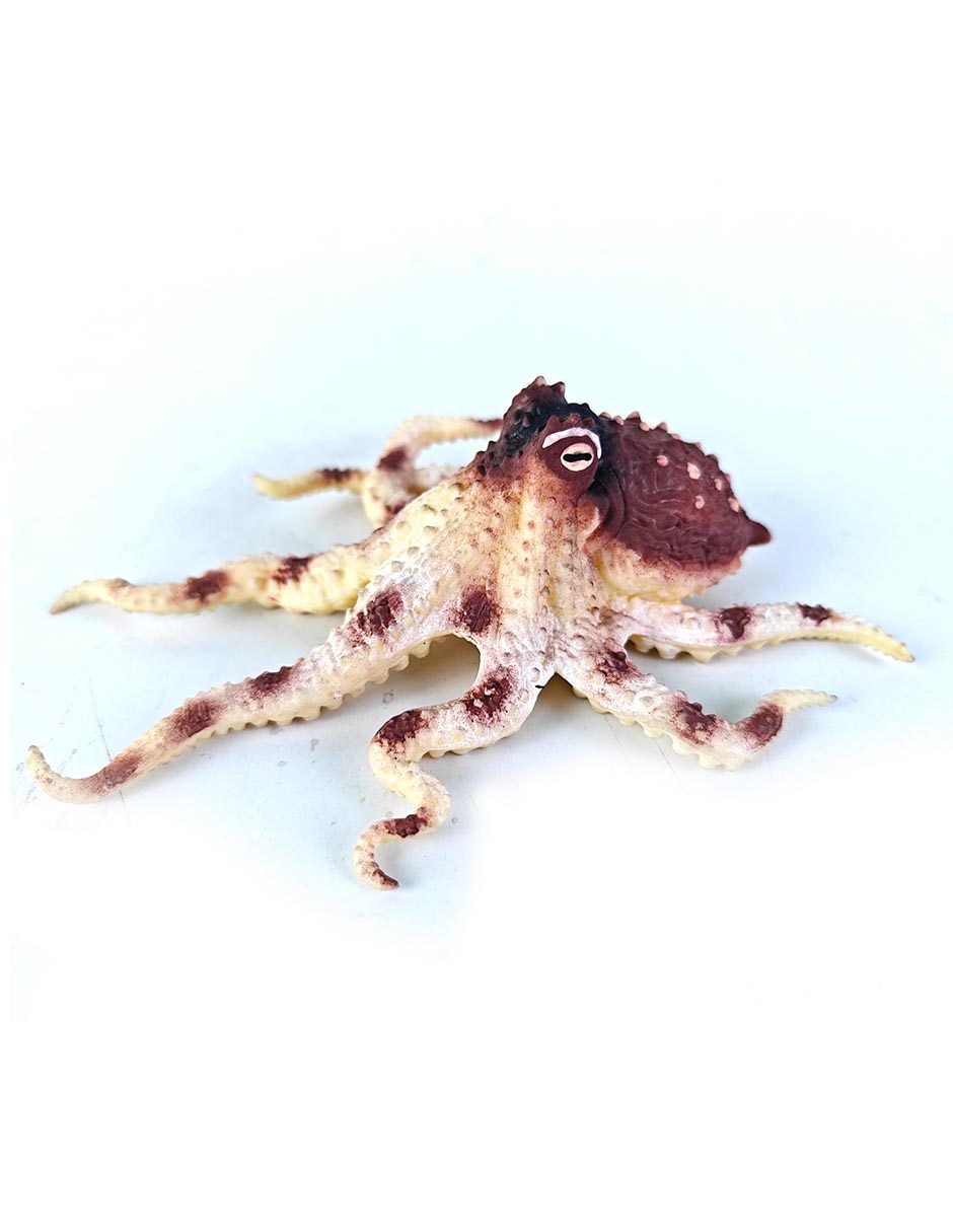 Figura de calamar 3