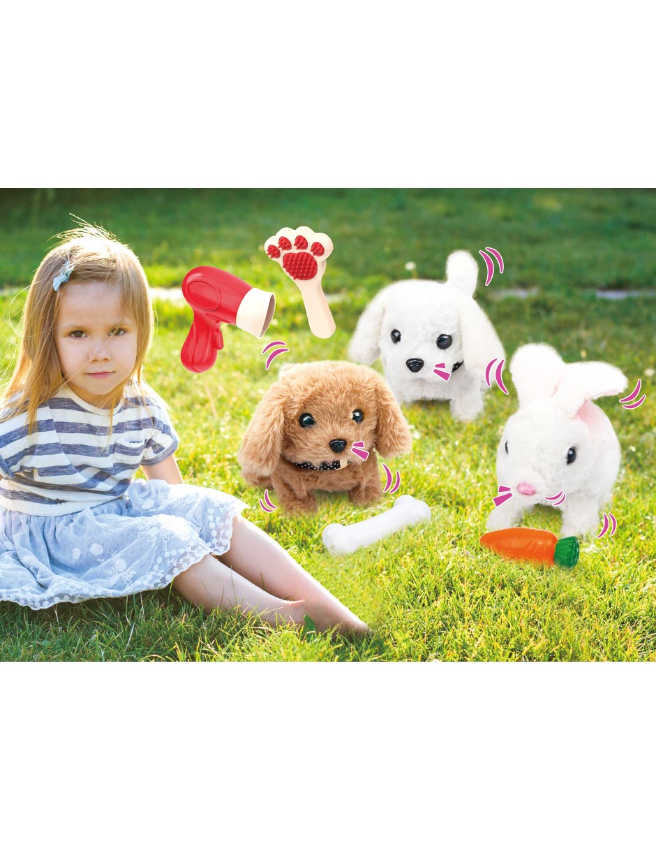 Kit de juguete cuidado de mascota Plush Pet 3