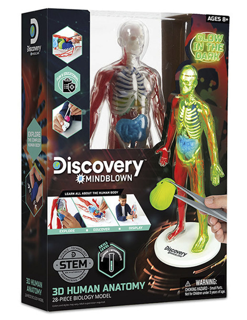 3D Human Anatomy 3