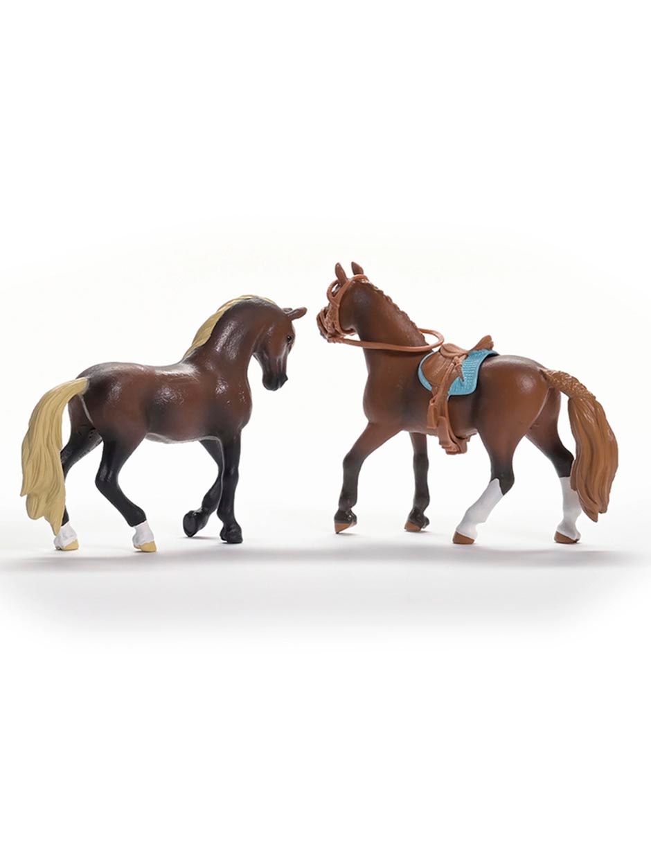 Set de caballo 2