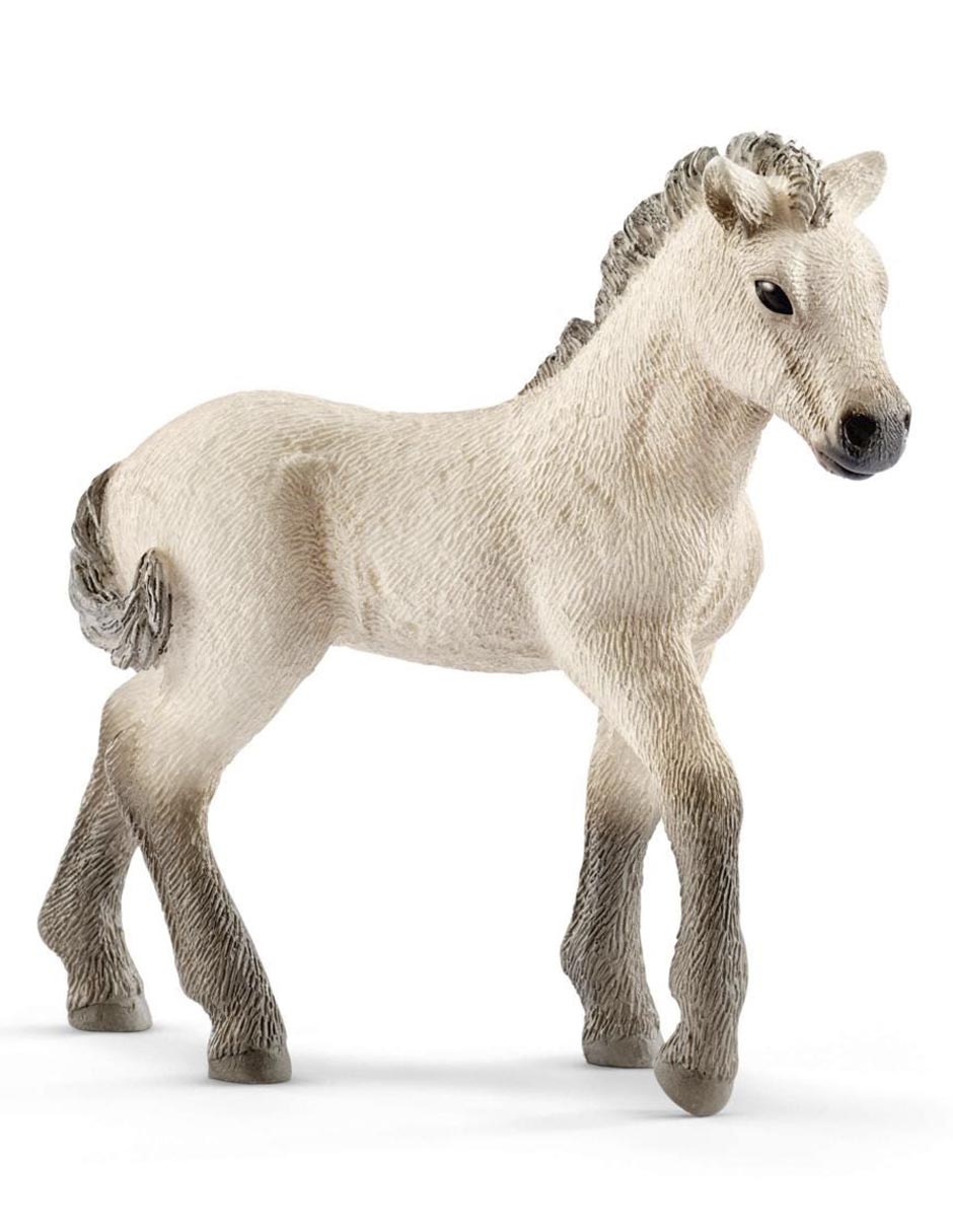 Set caballo 5