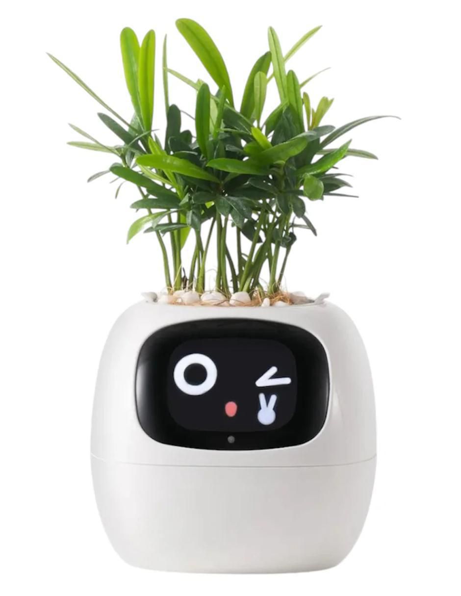 Robot plantsio