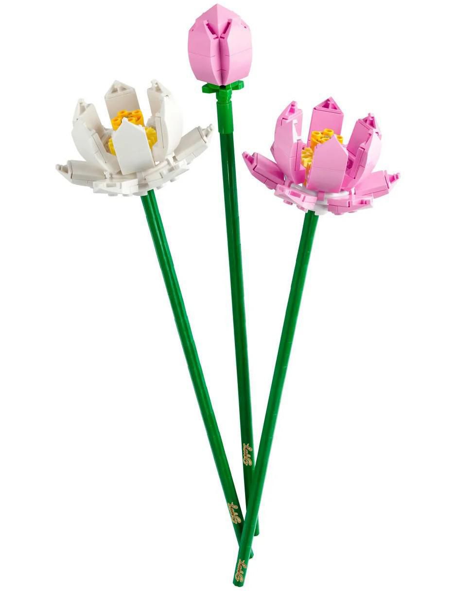 Flores Botánicas