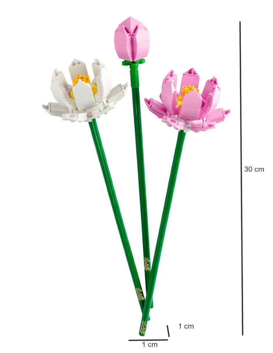 Flores Botánicas 5