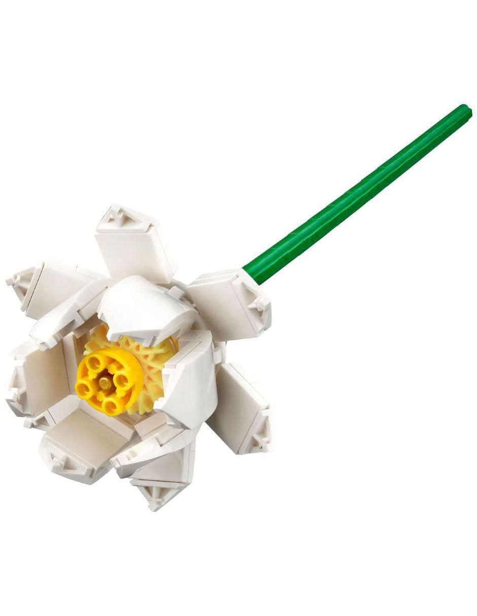 Flores Botánicas 3