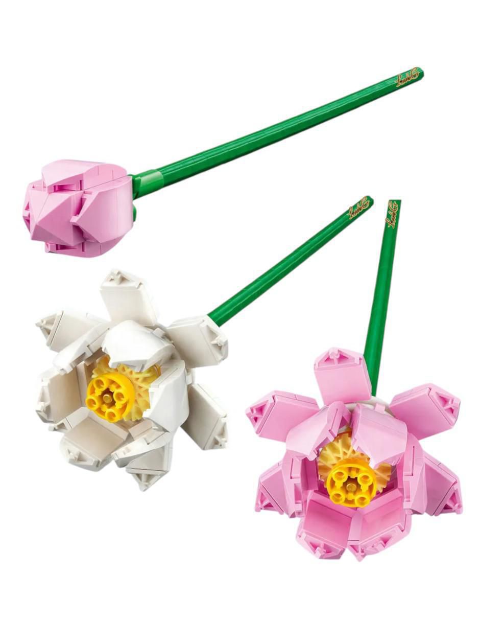 Flores Botánicas 4
