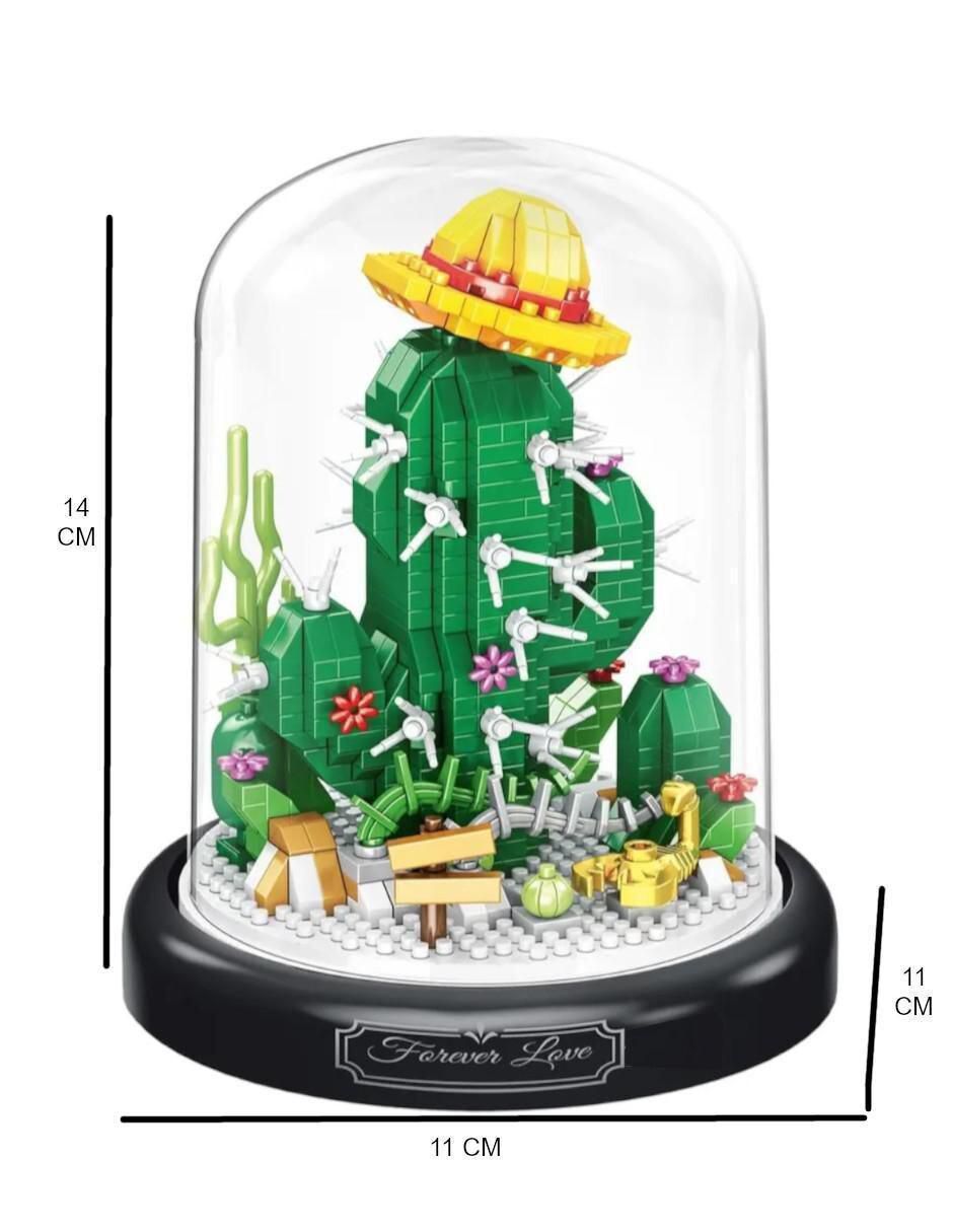 Set de cactus armable 5