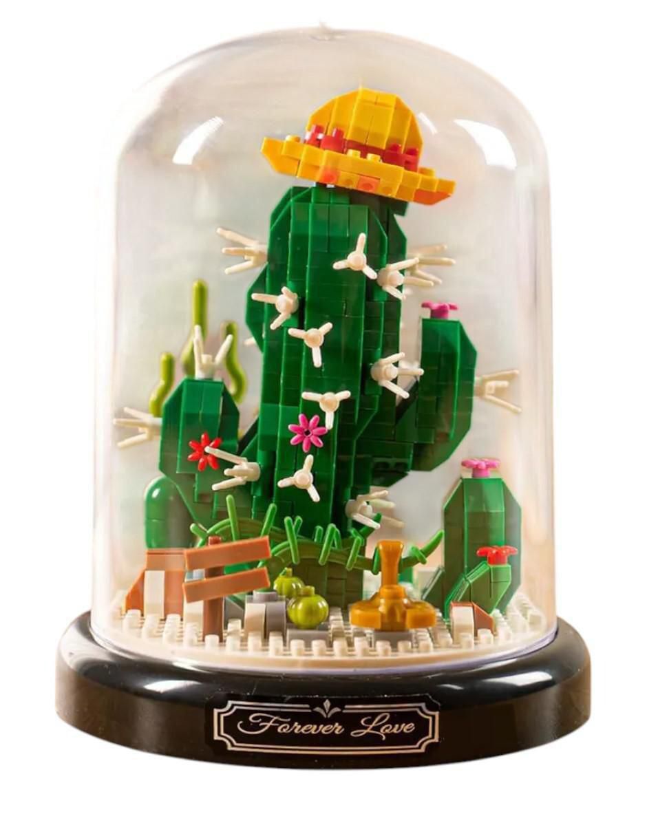 Set de cactus armable 2