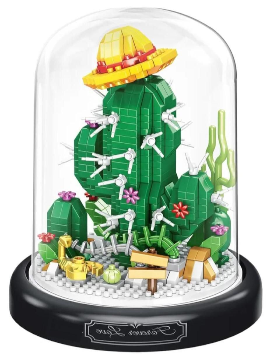 Set de cactus armable 3