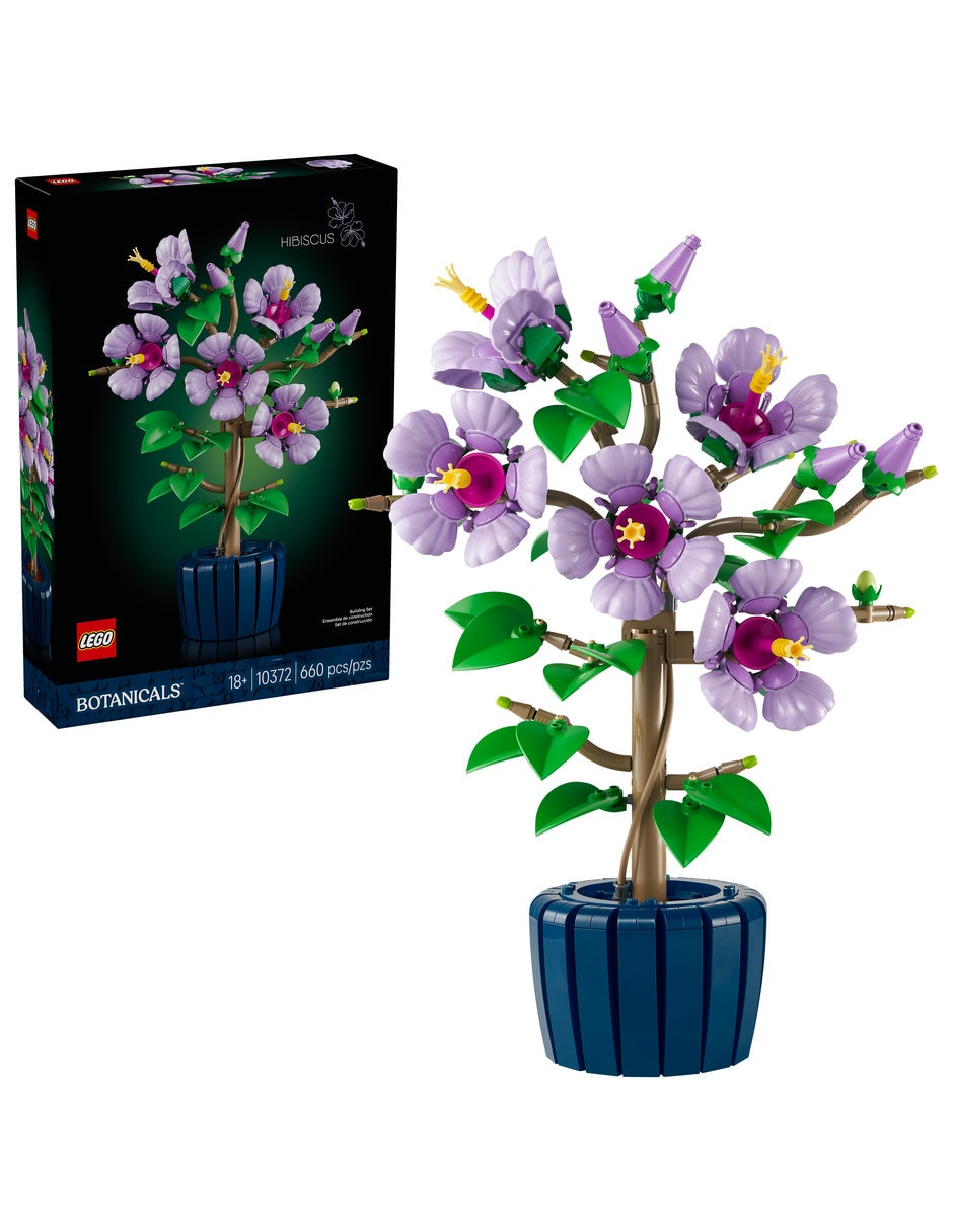 Hibisco 10372