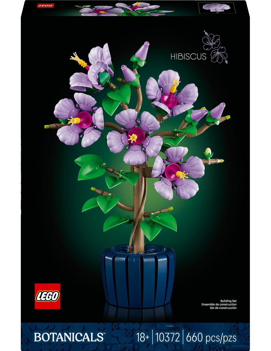 Hibisco 10372 4