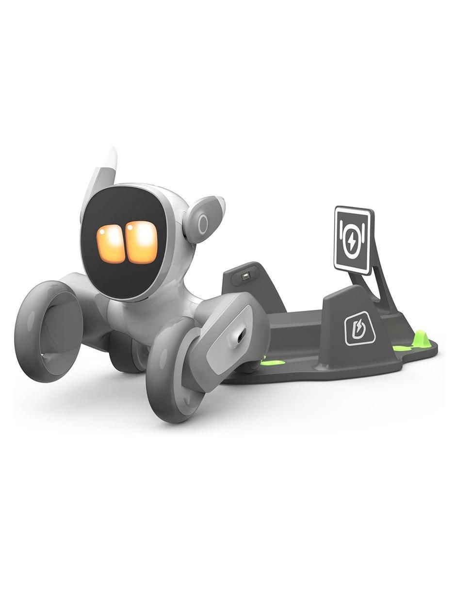 Robot Robot