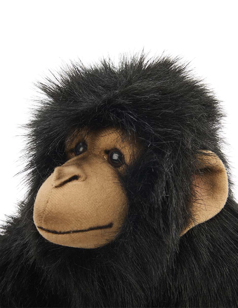 Peluche de Chimpancé de 25 cm 4