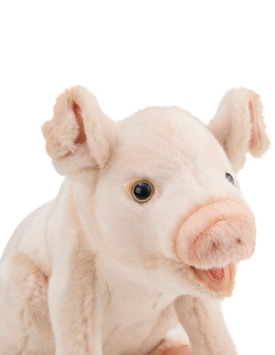 Peluche de cerdo de 19 cm 4