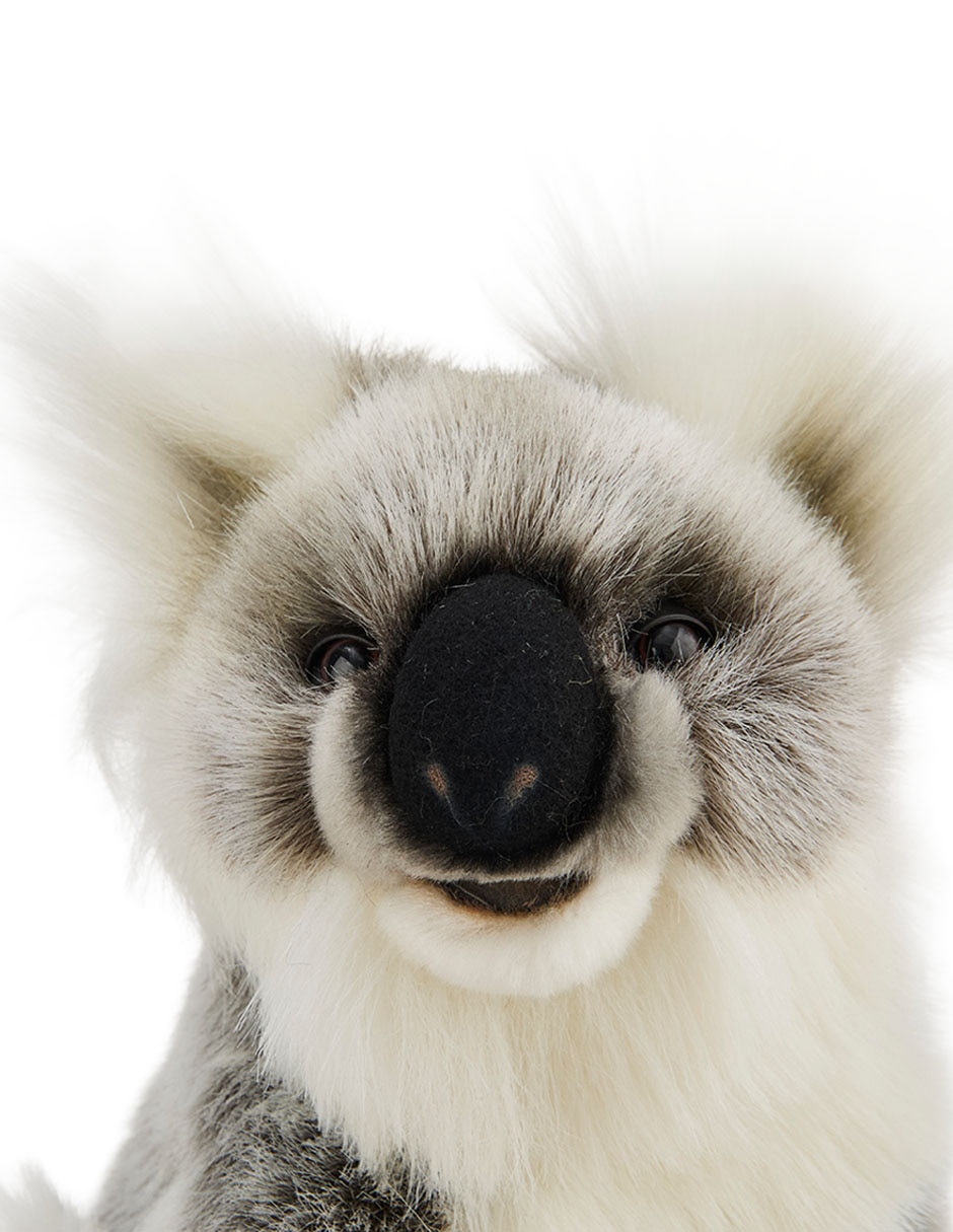 Peluche de koala de 20 cm 4