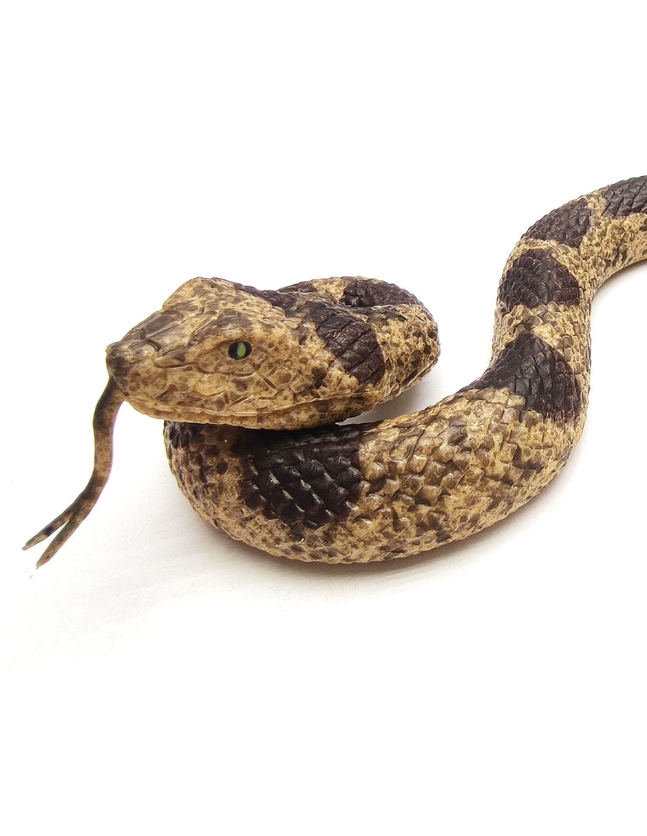 Figura de serpiente 2