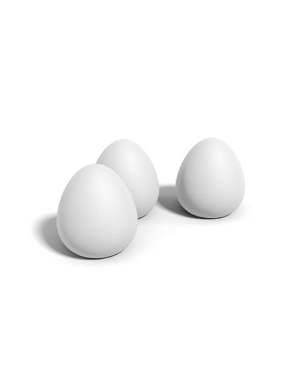Pajárraco 4