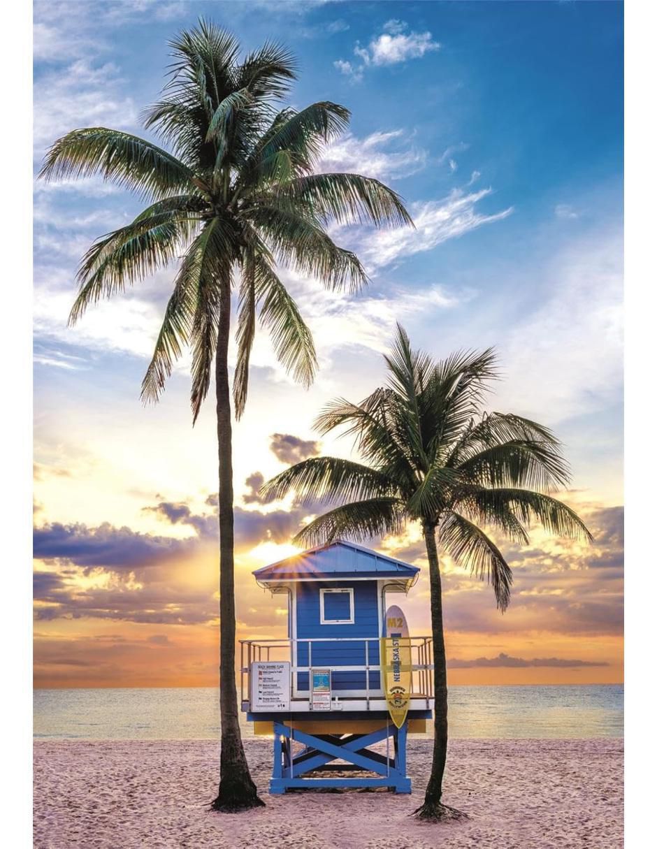 Rompecabezas Paisaje de playa Palmeras de Miami 500 piezas 2